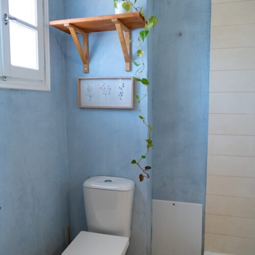 1st Floor Apartments
