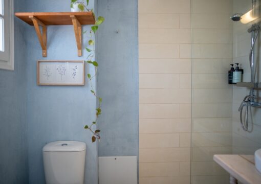 1st Floor Apartments