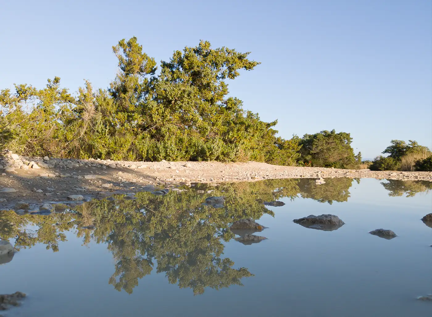 The Changing Face of Nature