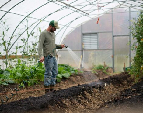 Tastes of the Land, Exploring Corfu’s Farm toTable Traditions