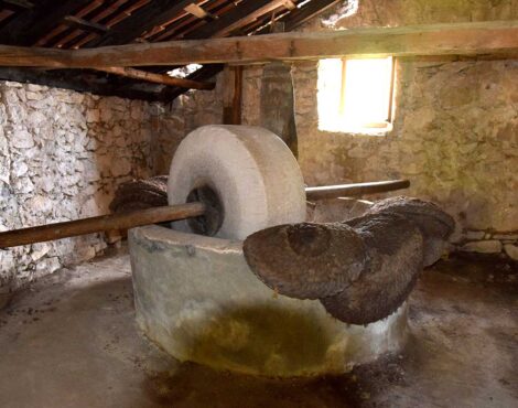 From Olive to Gold, The Story Behind Corfu’s Olive Oil Presses