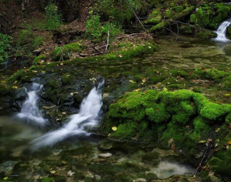 Corfu’s Mountain Springs