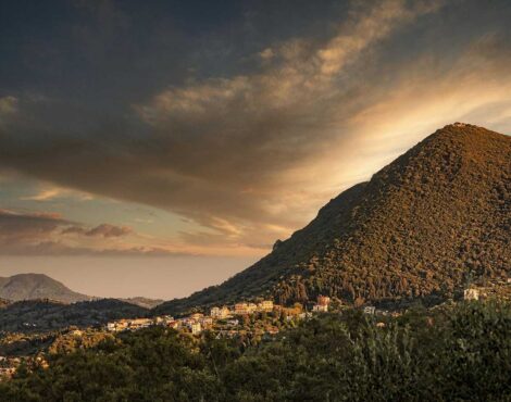 The Scent of Spring, Wildflowers and Blossom Walks in Corfu