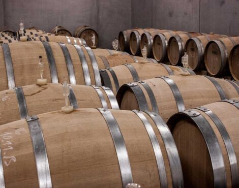 Corfu Wine Tours – Discovering Ionian Wines