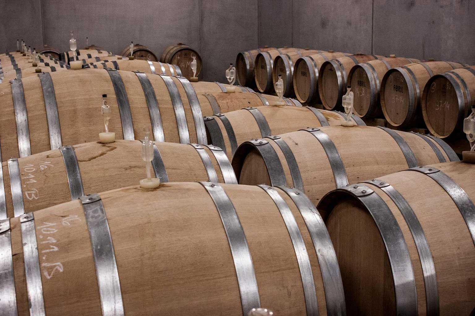 Corfu Wine Tours – Discovering Ionian Wines