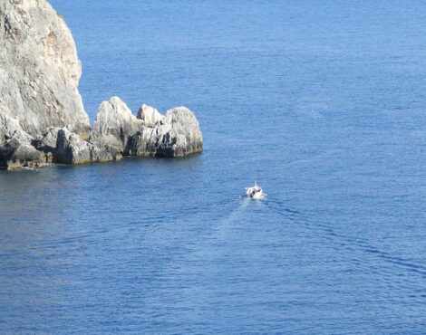 New Year, New Adventures