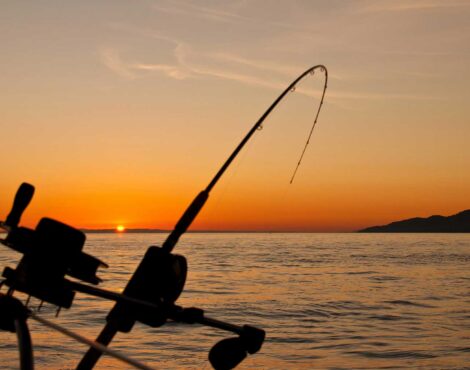 Traditional February fishing, methods, seasons, and local seafood culture