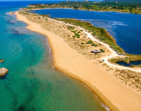 September Wildlife in Corfu: Autumn Migration and the Birds