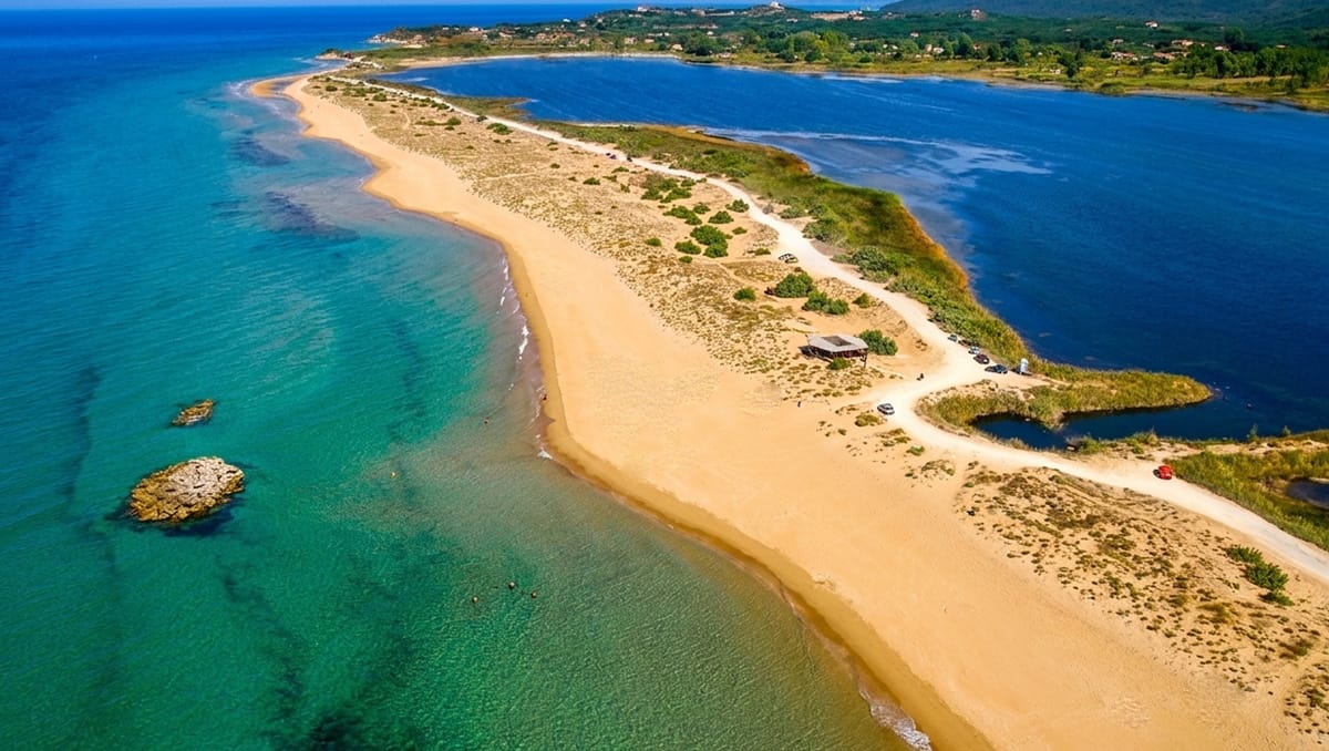 September Wildlife in Corfu: Autumn Migration and the Birds